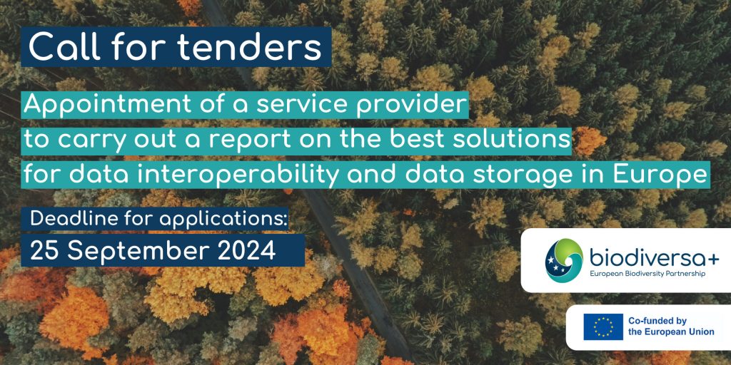 call-for-tenders-scaled