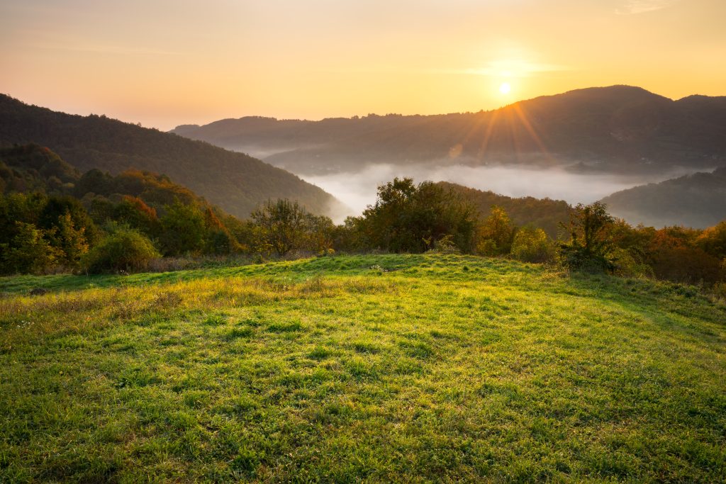Sudjelovanje građana u izradi nacionalnog plana obnove prirode