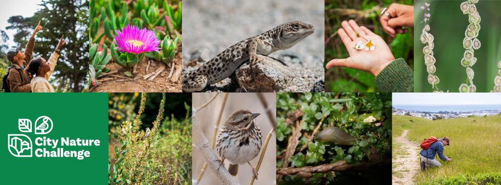 HorizontalBanner_CNC26_SingleLogo